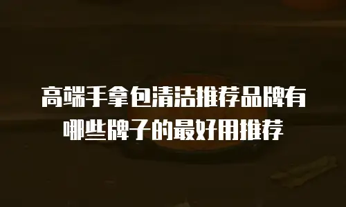 高端手拿包清洁推荐品牌有哪些牌子的最好用推荐