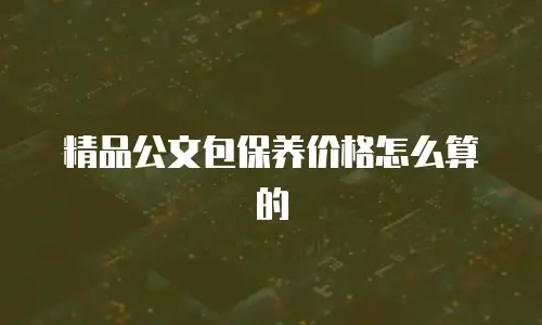 精品公文包保养价格怎么算的