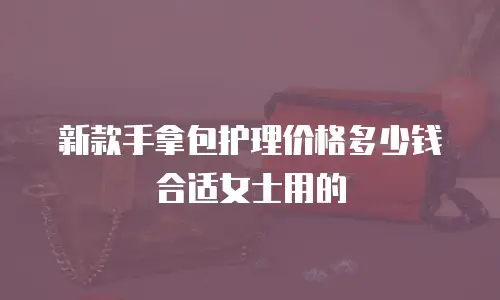 新款手拿包护理价格多少钱合适女士用的