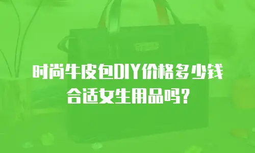 时尚牛皮包DIY价格多少钱合适女生用品吗？