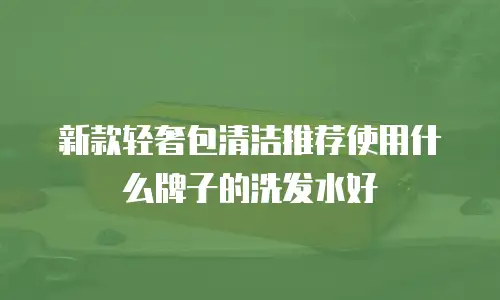 新款轻奢包清洁推荐使用什么牌子的洗发水好