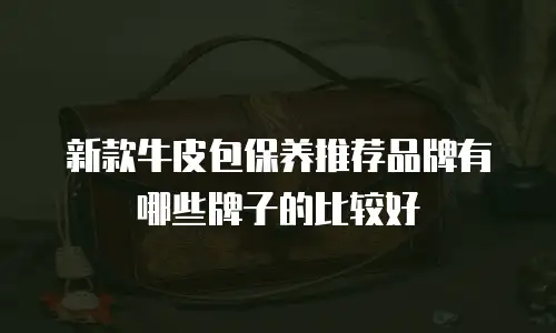 新款牛皮包保养推荐品牌有哪些牌子的比较好