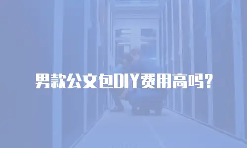 男款公文包DIY费用高吗？