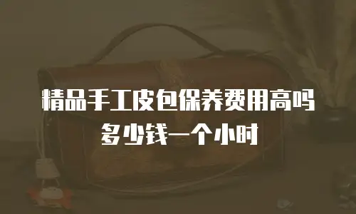 精品手工皮包保养费用高吗多少钱一个小时
