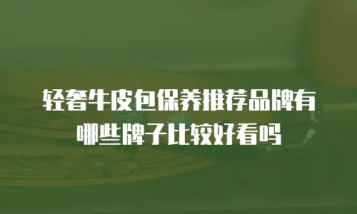 轻奢牛皮包保养推荐品牌有哪些牌子比较好看吗