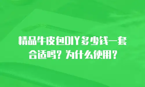 精品牛皮包DIY多少钱一套合适吗？为什么使用？