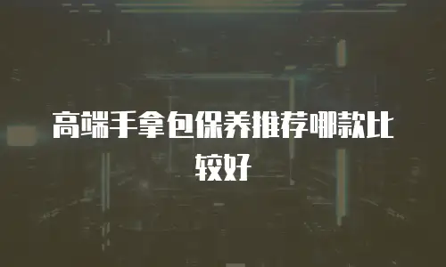高端手拿包保养推荐哪款比较好