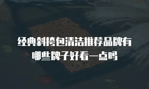经典斜挎包清洁推荐品牌有哪些牌子好看一点吗