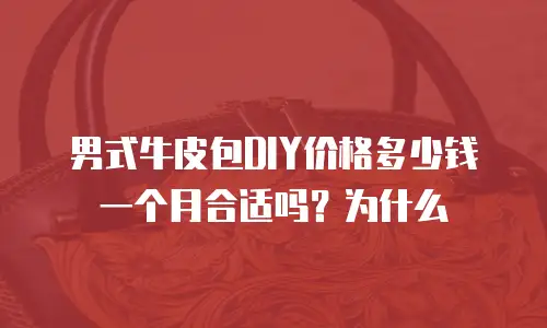 男式牛皮包DIY价格多少钱一个月合适吗？为什么