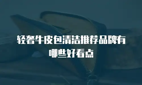 轻奢牛皮包清洁推荐品牌有哪些好看点