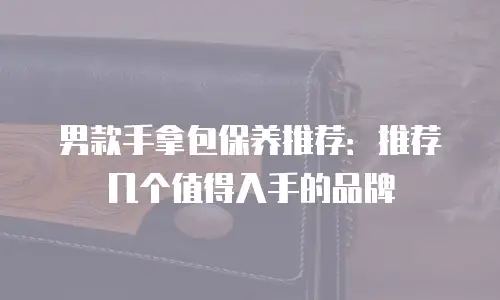 男款手拿包保养推荐：推荐几个值得入手的品牌