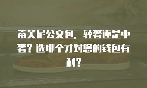 蒂芙尼公文包，轻奢还是中奢？选哪个才对您的钱包有利？