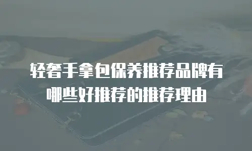 轻奢手拿包保养推荐品牌有哪些好推荐的推荐理由