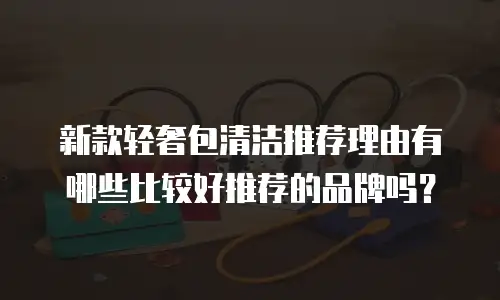 新款轻奢包清洁推荐理由有哪些比较好推荐的品牌吗？
