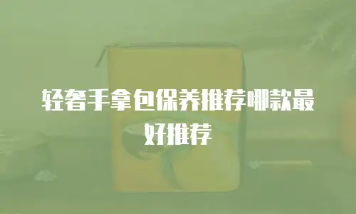 轻奢手拿包保养推荐哪款最好推荐