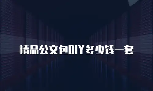 精品公文包DIY多少钱一套