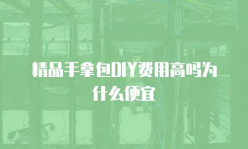 精品手拿包DIY费用高吗为什么便宜