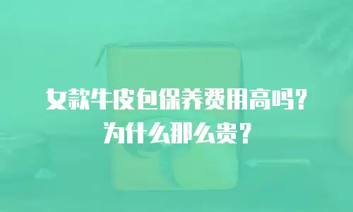 女款牛皮包保养费用高吗？为什么那么贵？