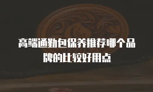 高端通勤包保养推荐哪个品牌的比较好用点