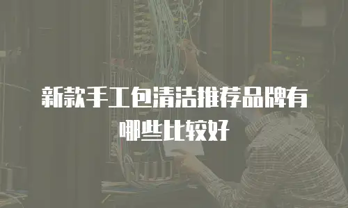 新款手工包清洁推荐品牌有哪些比较好