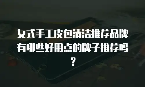 女式手工皮包清洁推荐品牌有哪些好用点的牌子推荐吗？