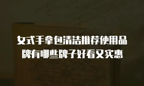 女式手拿包清洁推荐使用品牌有哪些牌子好看又实惠