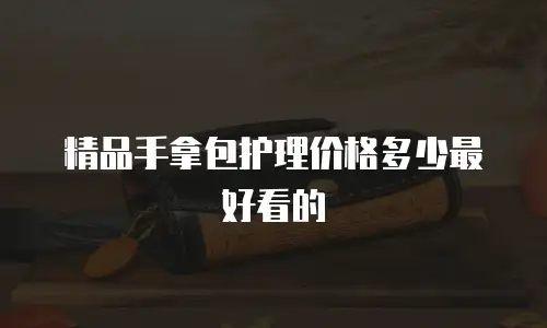 精品手拿包护理价格多少最好看的