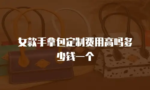 女款手拿包定制费用高吗多少钱一个