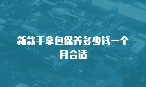 新款手拿包保养多少钱一个月合适