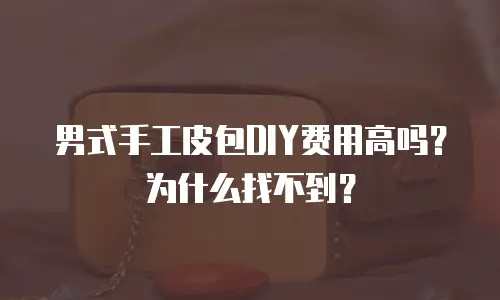 男式手工皮包DIY费用高吗？为什么找不到？