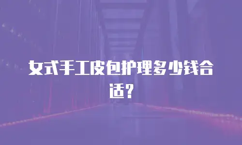 经典手拿包护理价格一览表