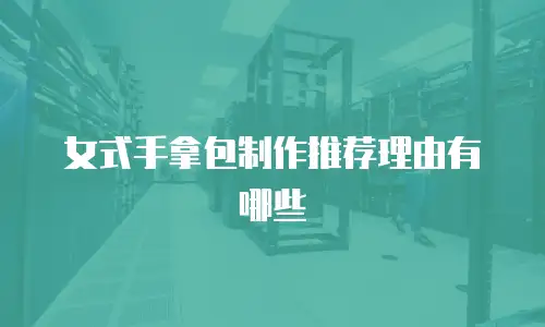 女式手拿包制作推荐理由有哪些