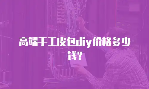 高端手工皮包diy价格多少钱？