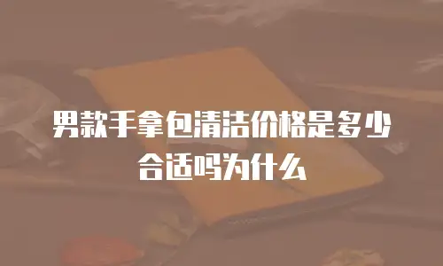 男款手拿包清洁价格是多少合适吗为什么