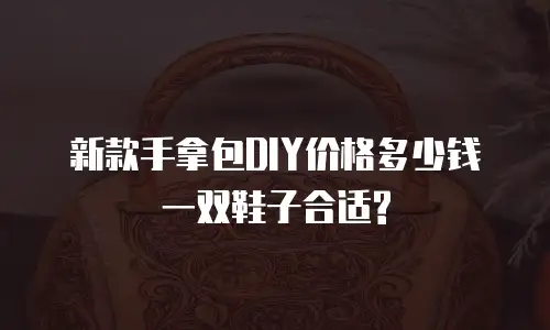 新款手拿包DIY价格多少钱一双鞋子合适?