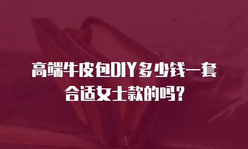 高端牛皮包DIY多少钱一套合适女士款的吗？