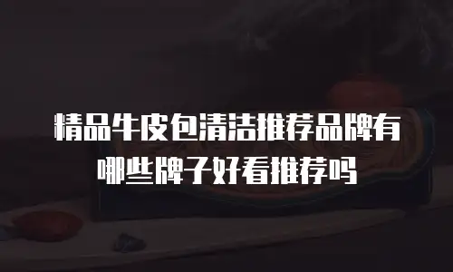 精品牛皮包清洁推荐品牌有哪些牌子好看推荐吗