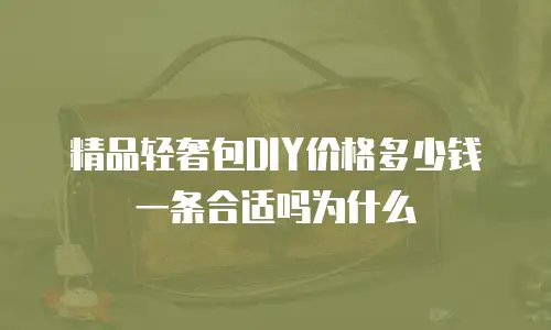 精品轻奢包DIY价格多少钱一条合适吗为什么
