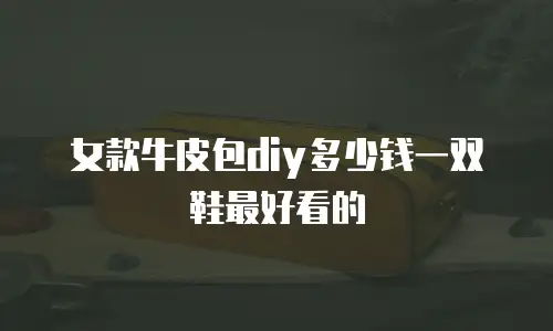 女款牛皮包diy多少钱一双鞋最好看的