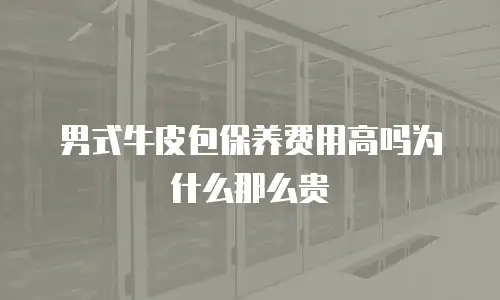 男式牛皮包保养费用高吗为什么那么贵