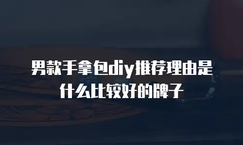 男款手拿包diy推荐理由是什么比较好的牌子