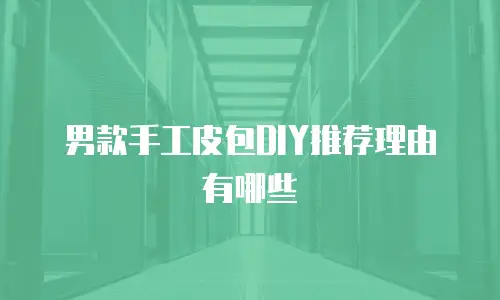 男款手工皮包DIY推荐理由有哪些