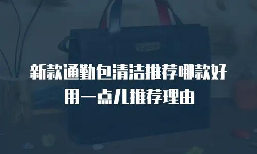 新款通勤包清洁推荐哪款好用一点儿推荐理由
