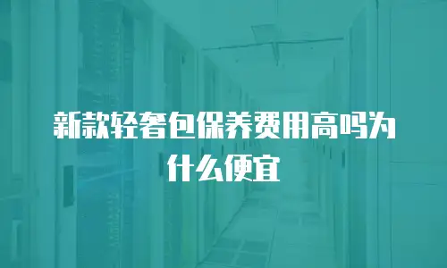 新款轻奢包保养费用高吗为什么便宜