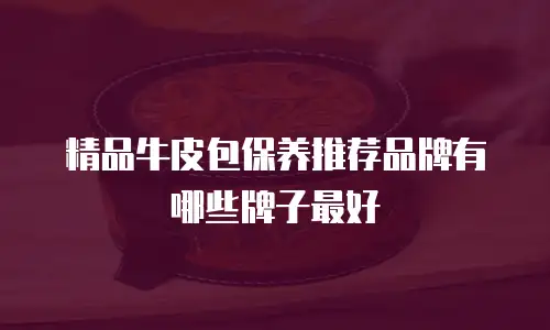 精品牛皮包保养推荐品牌有哪些牌子最好