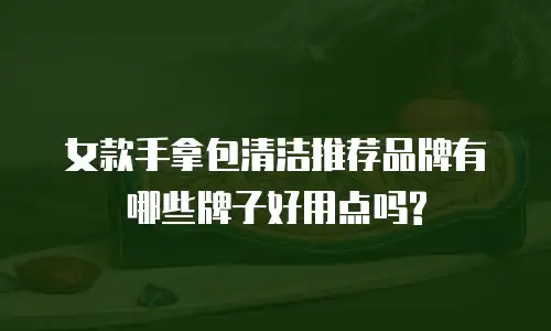 女款手拿包清洁推荐品牌有哪些牌子好用点吗?