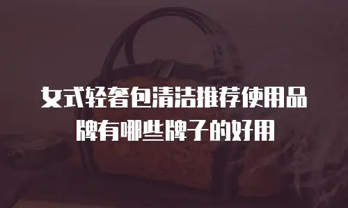 女式轻奢包清洁推荐使用品牌有哪些牌子的好用