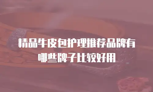 精品牛皮包护理推荐品牌有哪些牌子比较好用