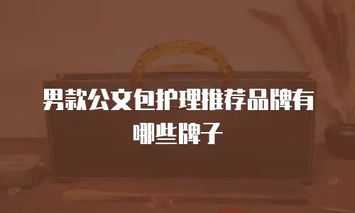 男款公文包护理推荐品牌有哪些牌子