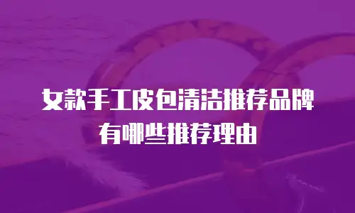 女款手工皮包清洁推荐品牌有哪些推荐理由